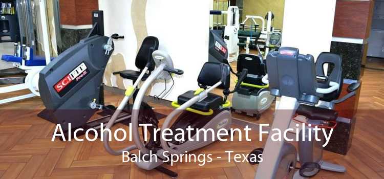 Alcohol Treatment Facility Balch Springs - Texas