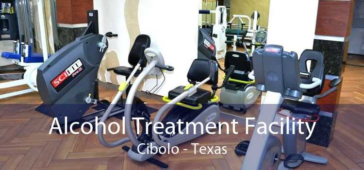 Alcohol Treatment Facility Cibolo - Texas