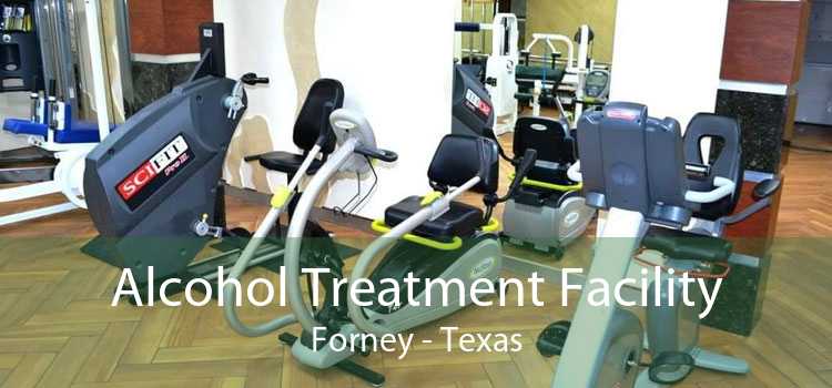 Alcohol Treatment Facility Forney - Texas