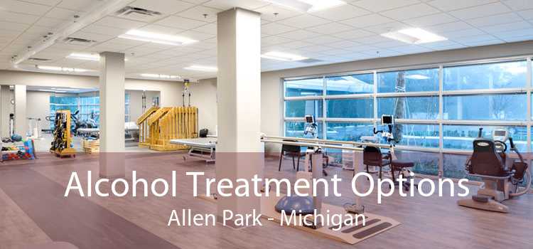 Alcohol Treatment Options Allen Park - Michigan