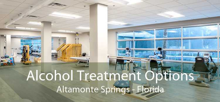 Alcohol Treatment Options Altamonte Springs - Florida