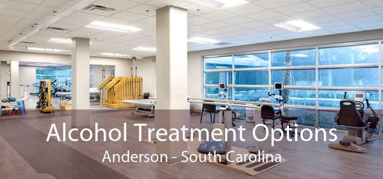 Alcohol Treatment Options Anderson - South Carolina
