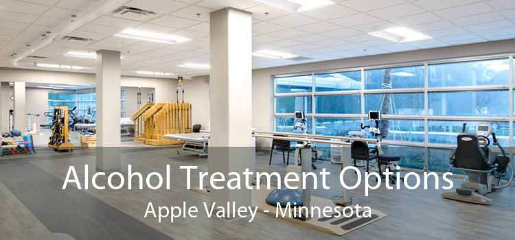 Alcohol Treatment Options Apple Valley - Minnesota