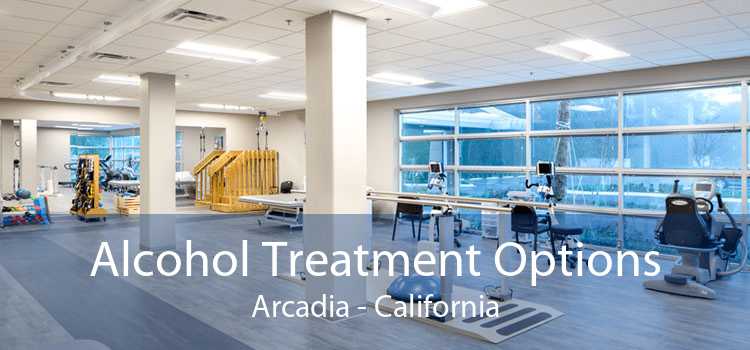 Alcohol Treatment Options Arcadia - California