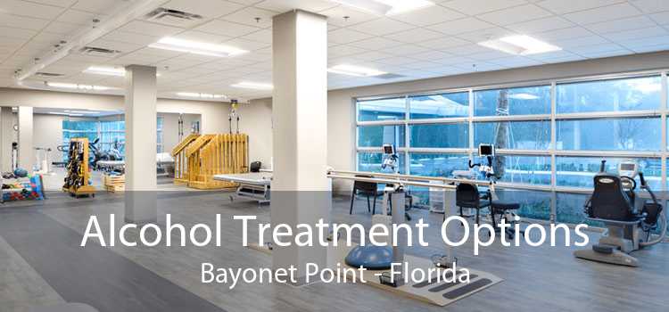 Alcohol Treatment Options Bayonet Point - Florida
