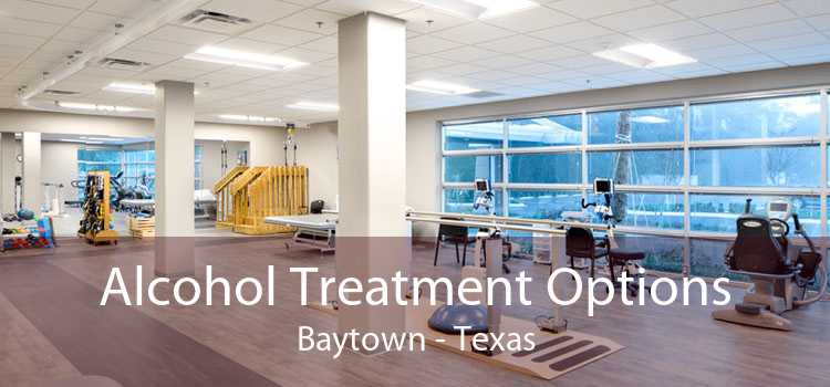 Alcohol Treatment Options Baytown - Texas