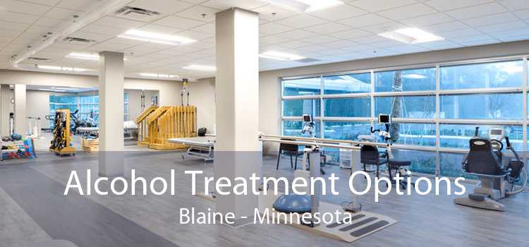 Alcohol Treatment Options Blaine - Minnesota