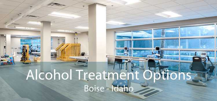 Alcohol Treatment Options Boise - Idaho