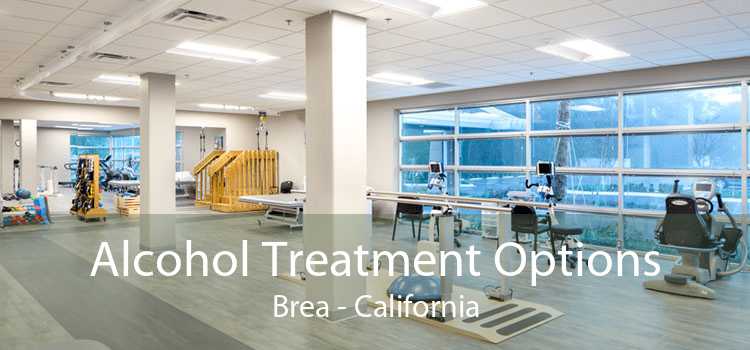 Alcohol Treatment Options Brea - California