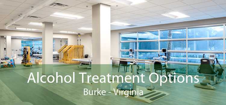 Alcohol Treatment Options Burke - Virginia