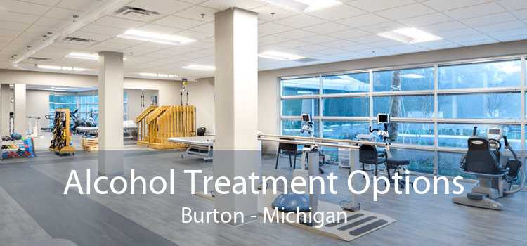 Alcohol Treatment Options Burton - Michigan