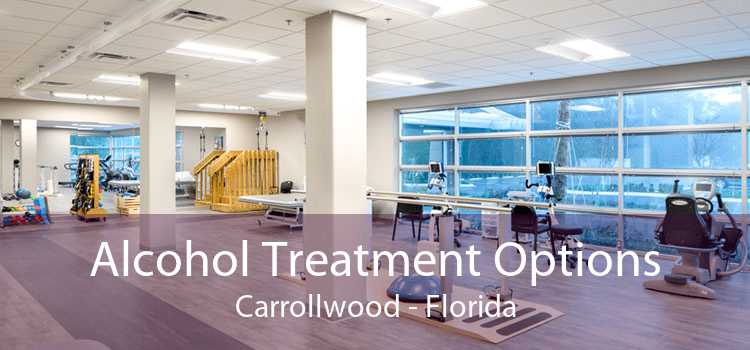 Alcohol Treatment Options Carrollwood - Florida