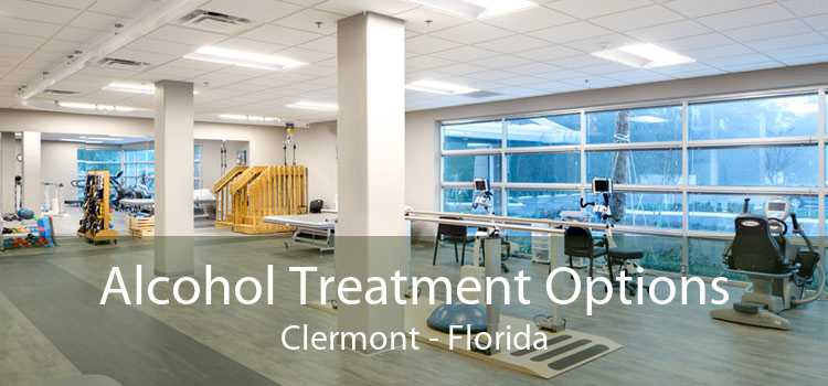 Alcohol Treatment Options Clermont - Florida