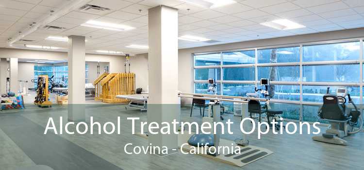 Alcohol Treatment Options Covina - California