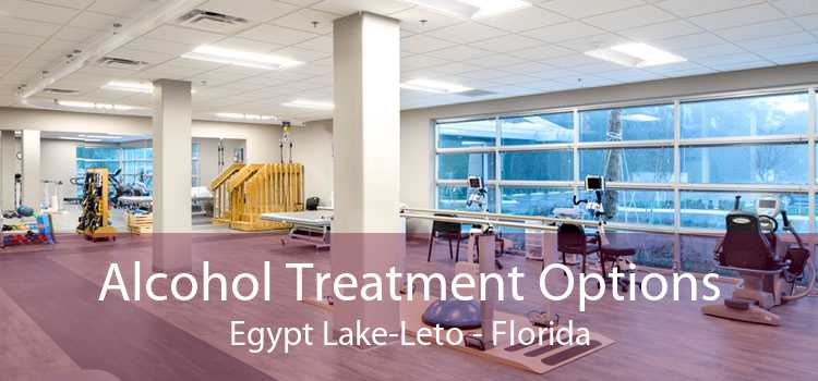 Alcohol Treatment Options Egypt Lake-Leto - Florida