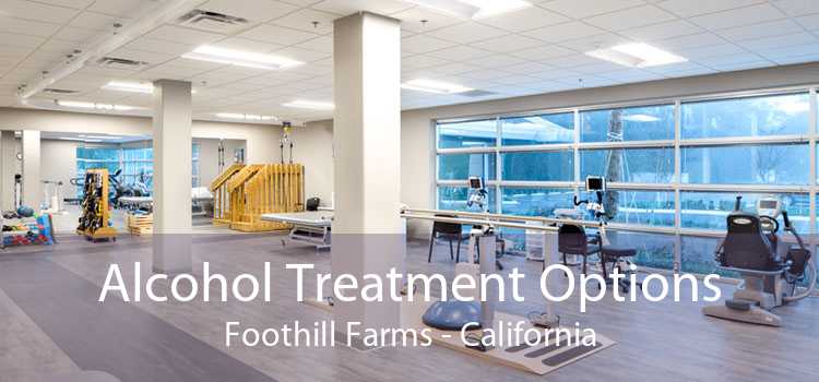 Alcohol Treatment Options Foothill Farms - California