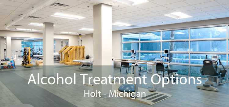 Alcohol Treatment Options Holt - Michigan