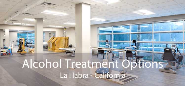 Alcohol Treatment Options La Habra - California
