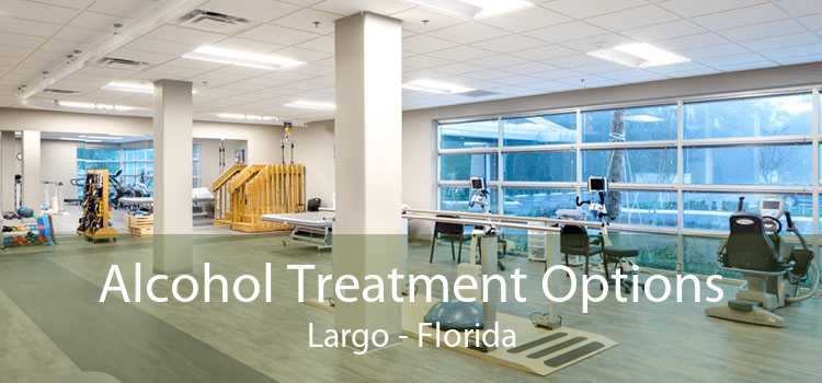 Alcohol Treatment Options Largo - Florida