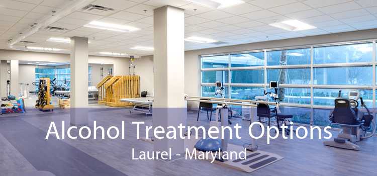 Alcohol Treatment Options Laurel - Maryland
