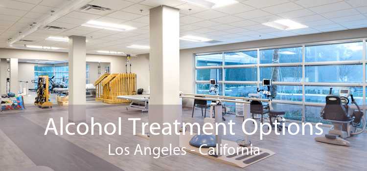 Alcohol Treatment Options Los Angeles - California