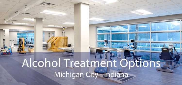 Alcohol Treatment Options Michigan City - Indiana