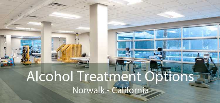 Alcohol Treatment Options Norwalk - California