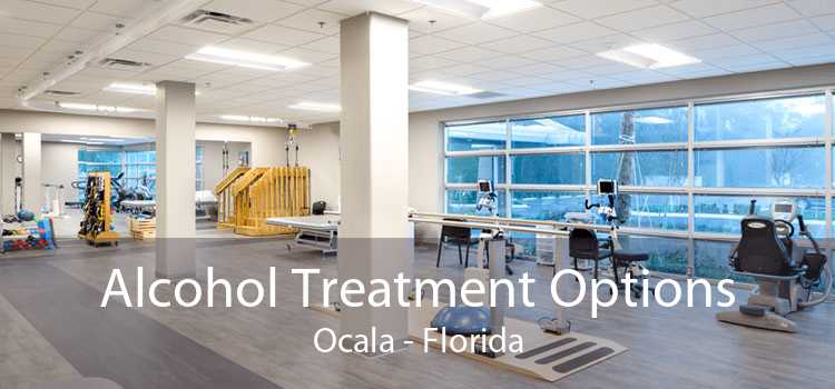 Alcohol Treatment Options Ocala - Florida