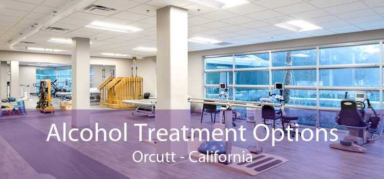 Alcohol Treatment Options Orcutt - California