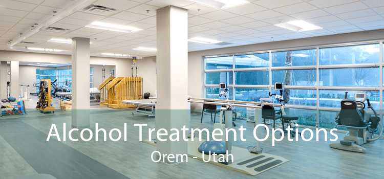 Alcohol Treatment Options Orem - Utah