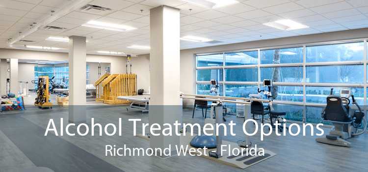 Alcohol Treatment Options Richmond West - Florida