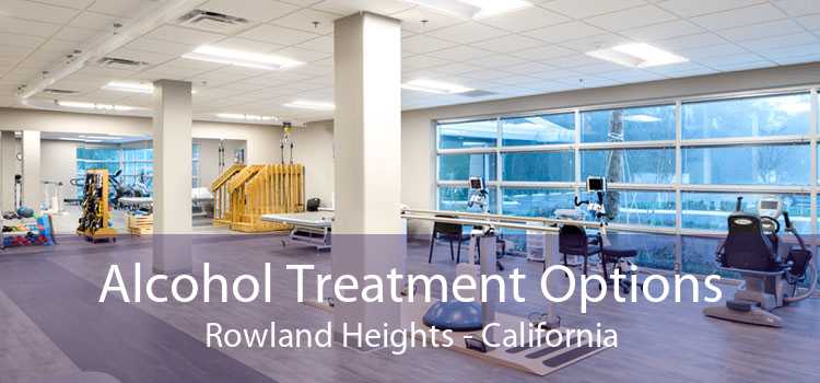 Alcohol Treatment Options Rowland Heights - California