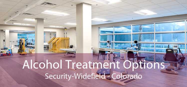 Alcohol Treatment Options Security-Widefield - Colorado