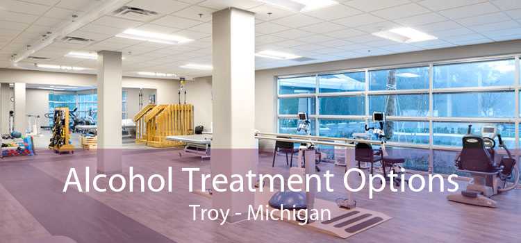 Alcohol Treatment Options Troy - Michigan