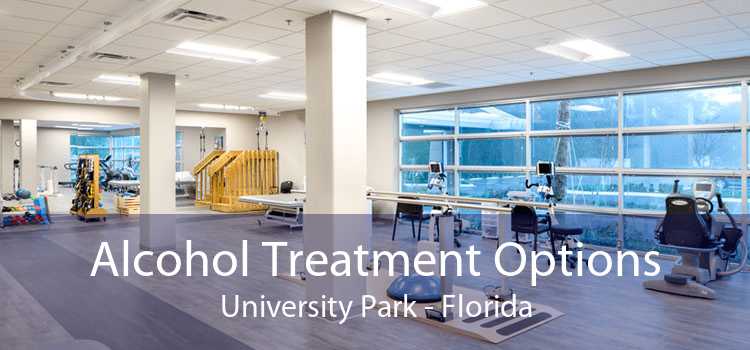 Alcohol Treatment Options University Park - Florida