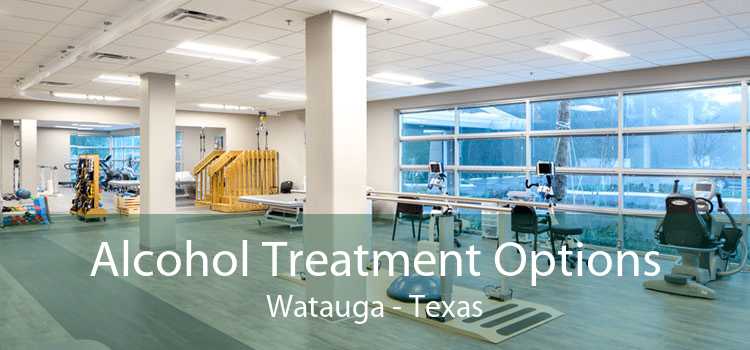 Alcohol Treatment Options Watauga - Texas
