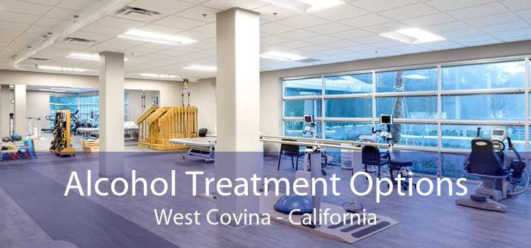 Alcohol Treatment Options West Covina - California