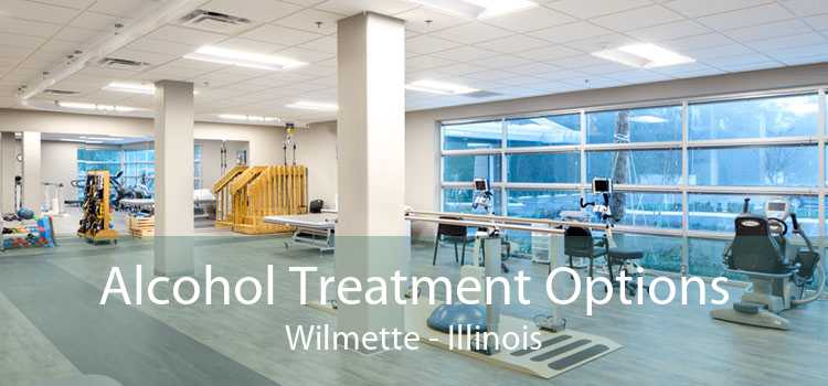 Alcohol Treatment Options Wilmette - Illinois
