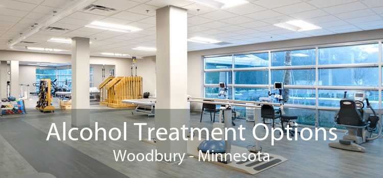 Alcohol Treatment Options Woodbury - Minnesota