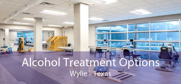 Alcohol Treatment Options Wylie - Texas
