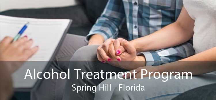 Alcohol Treatment Program Spring Hill - Florida